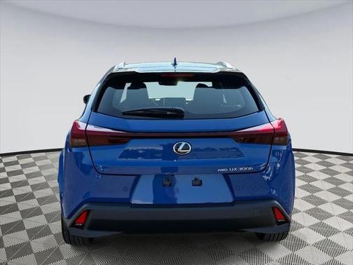 2025 Lexus UX 300h Premium
