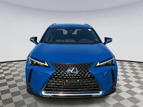2025 Lexus UX 300h Premium