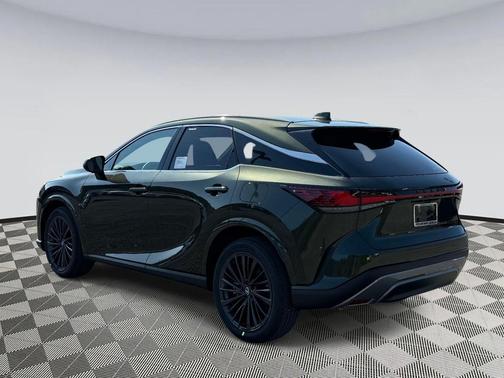 Nori Green Pearl 2026 Lexus RX 350 Premium