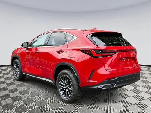 2025 Lexus NX 350 Base