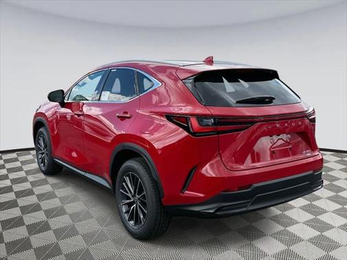 2025 Lexus NX 350 Base