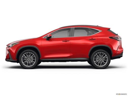 2025 Lexus NX 350 Base