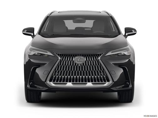 2025 Lexus NX 350 Base