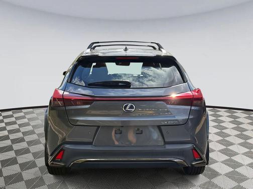 2022 Lexus UX 250h F Sport