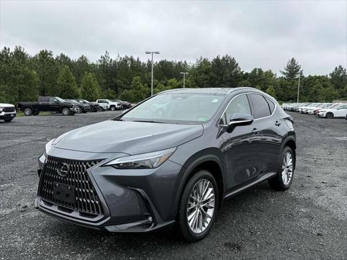 2025 Lexus NX 350 Premium