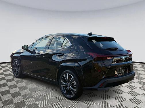 2025 Lexus UX 300h Premium