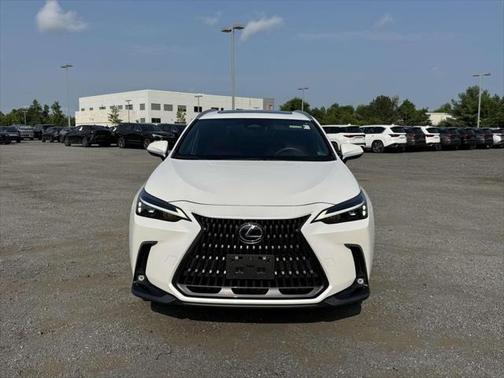 2022 Lexus NX 350 Base