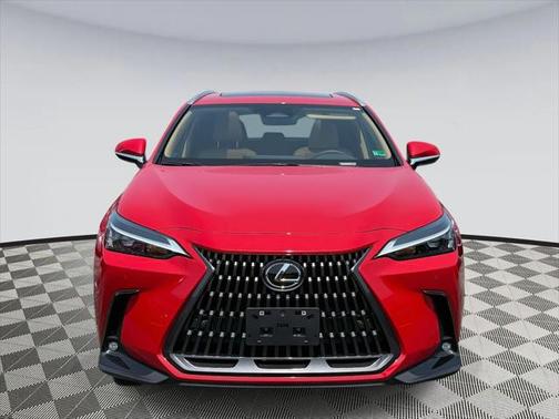 2025 Lexus NX 350h Premium
