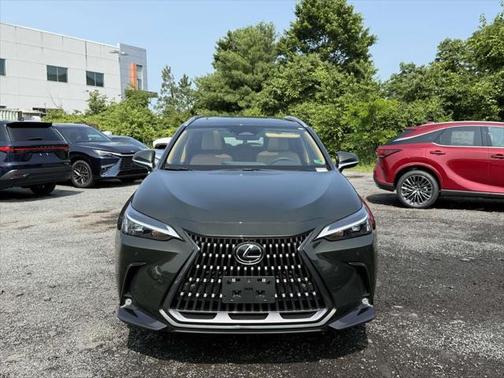 2025 Lexus NX 350 Premium