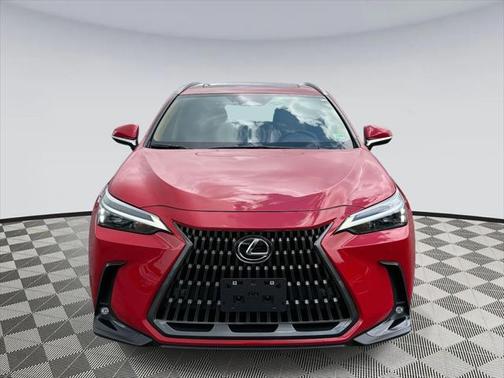 2025 Lexus NX 350 Base