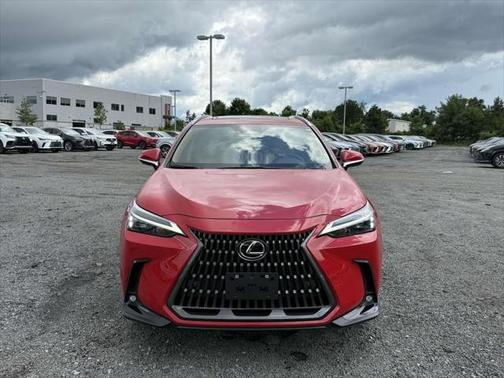 2025 Lexus NX 350 Base