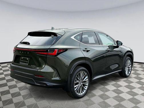 Nori Green Pearl 2025 Lexus NX 350 Luxury