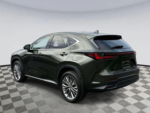 Nori Green Pearl 2025 Lexus NX 350 Luxury