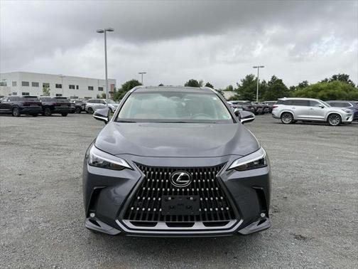 2025 Lexus NX 350 Premium