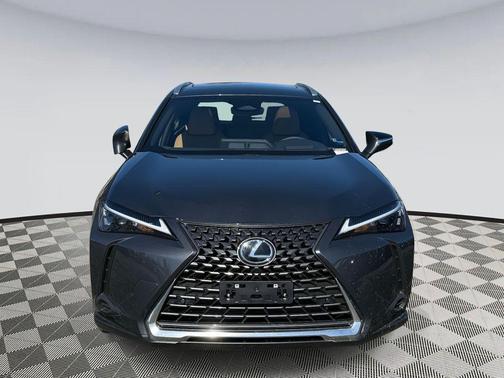 Cloudburst Gray 2026 Lexus UX 300h Premium