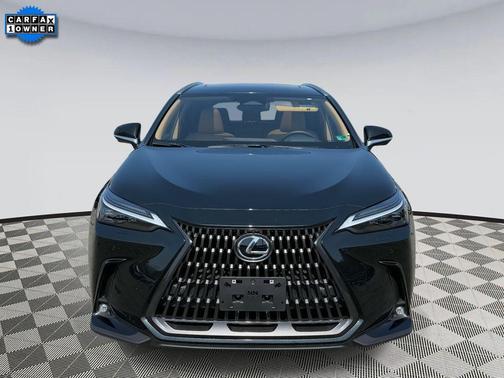 2025 Lexus NX 450h+ Luxury