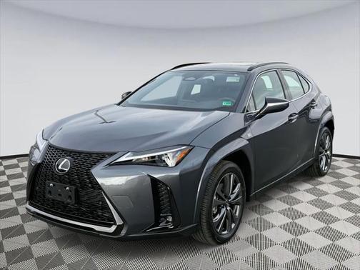 2025 Lexus UX 300h F DESIGN