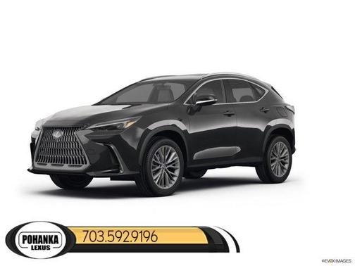 2025 Lexus NX 350 Base