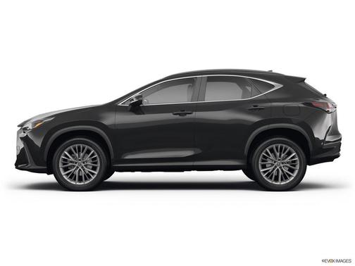 2025 Lexus NX 350 Luxury