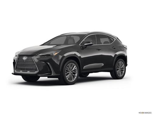 2025 Lexus NX 350 Luxury