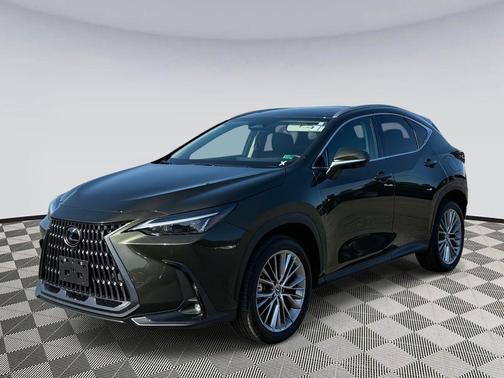 2025 Lexus NX 350 Premium