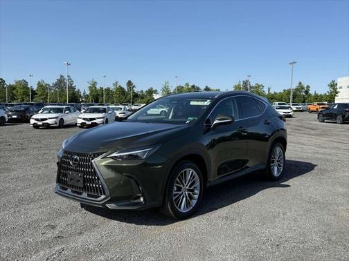 2025 Lexus NX 350 Premium