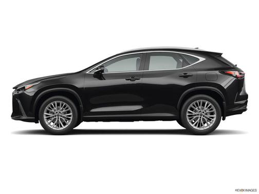 2025 Lexus NX 350 Base