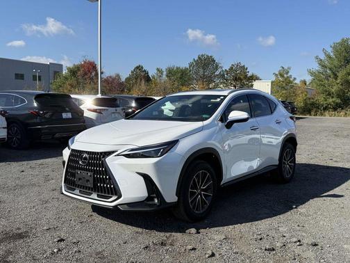 2025 Lexus NX 350 Premium