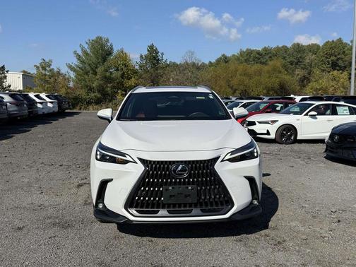 2025 Lexus NX 350 Premium