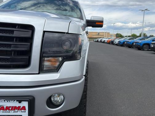 Ingot Silver Metallic 2014 Ford F-150 FX4