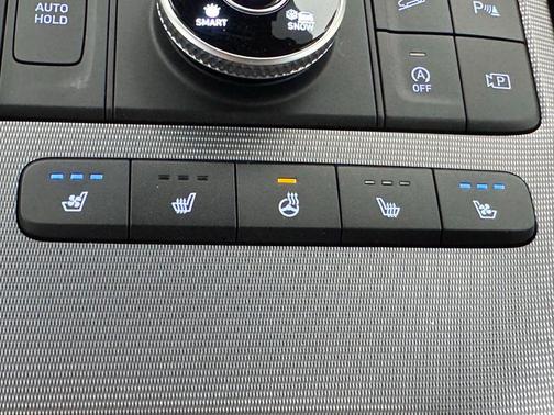 Robust Emerald 2024 Hyundai PALISADE Calligraphy