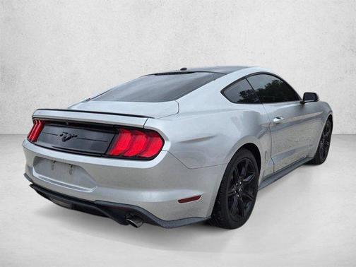 Ingot Silver Metallic 2019 Ford Mustang EcoBoost