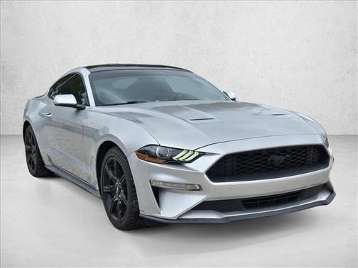 Ingot Silver Metallic 2019 Ford Mustang EcoBoost
