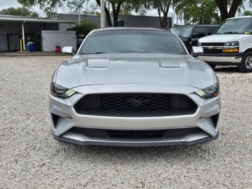 Ingot Silver Metallic 2019 Ford Mustang EcoBoost