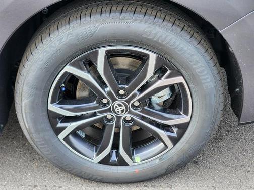 2025 Toyota Sienna Platinum 7 Passenger
