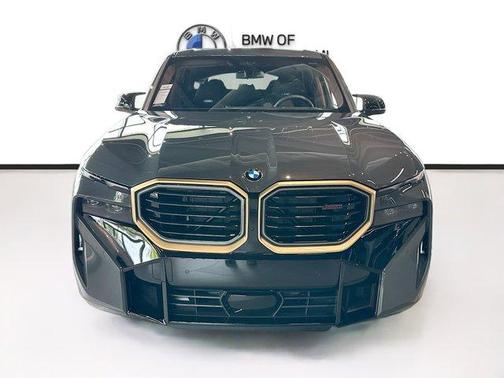 Gray Metallic 2026 BMW XM LABEL