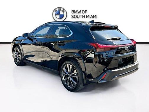 2025 Lexus UX 300h 300H