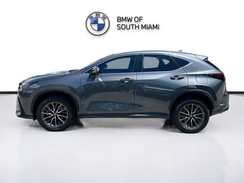 2023 Lexus NX 250 Base
