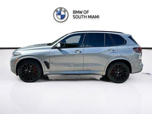 Gray Metallic 2025 BMW X5 sDrive40i