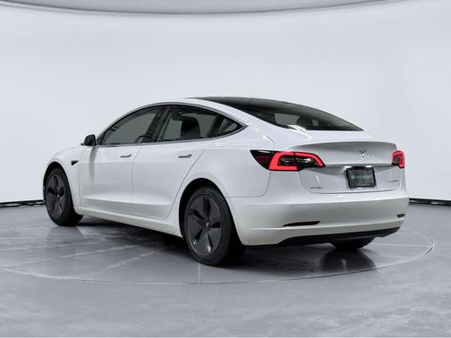 Pearl White Multi-Coat 2020 Tesla Model 3 Long Range