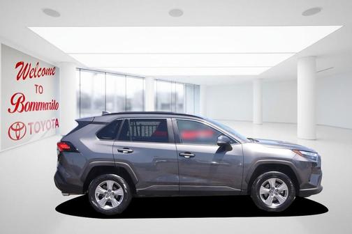 Magnetic Gray Metallic 2025 Toyota RAV4 XLE