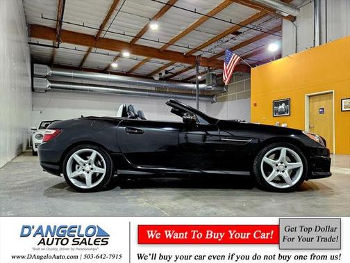 2014 Mercedes-Benz SLK-Class SLK 250