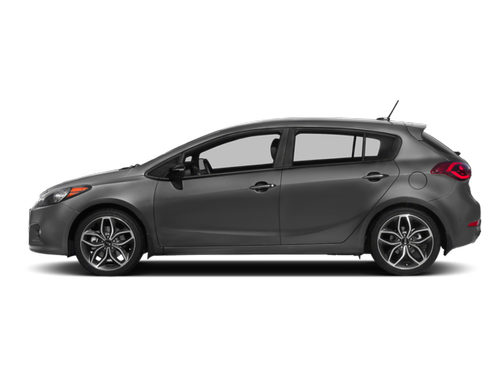 Graphite Steel 2014 Kia Forte EX
