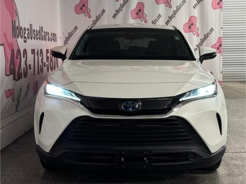 2021 Toyota Venza LE