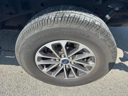 Velocity Blue Metallic 2019 Ford F-150 XLT