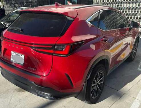 2024 Lexus NX 250 Premium