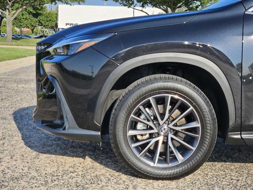 2025 Lexus NX 250 Base