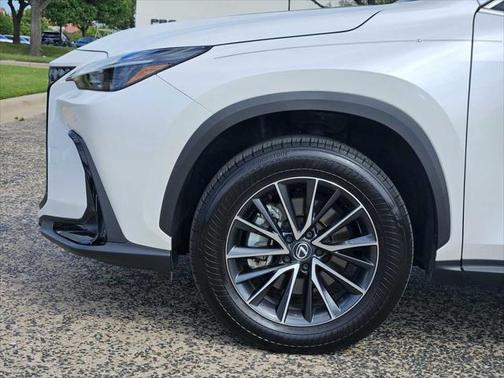 2024 Lexus NX 250 Premium