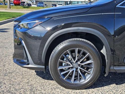 2023 Lexus NX 250 Premium