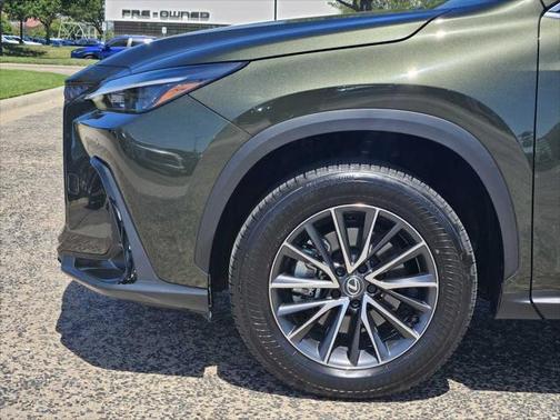 2025 Lexus NX 250 Premium